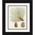 thumbnail image 1 of Unknown 15x18 Black Ornate Wood Framed with Double Matting Museum Art Print Titled - Antique Pine Cones IV, 1 of 4