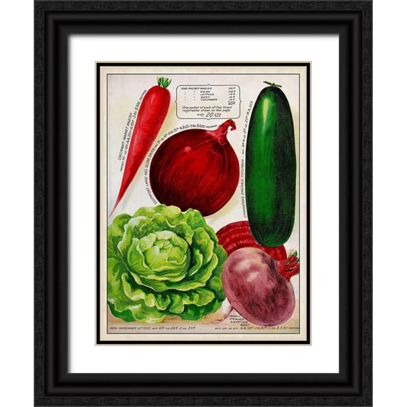 Unknown 15x18 Black Ornate Wood Framed with Double Matting Museum Art Print Titled - Antique Seed Packets XI