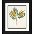 thumbnail image 1 of Unknown 15x18 Black Ornate Wood Framed with Double Matting Museum Art Print Titled - Botanical of the Tropics VIII, 1 of 4