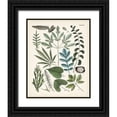 thumbnail image 1 of Unknown  15x18 Black Ornate Wood Framed with Double Matting Museum Art Print Titled - Fanciful Ferns VII, 1 of 4