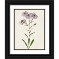 thumbnail image 1 of Unknown  15x18 Black Ornate Wood Framed with Double Matting Museum Art Print Titled - Mauve Garden Flowers III, 1 of 4