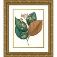 thumbnail image 1 of Unknown 15x18 Gold Ornate Wood Framed with Double Matting Museum Art Print Titled - Fall Foliage V, 1 of 4
