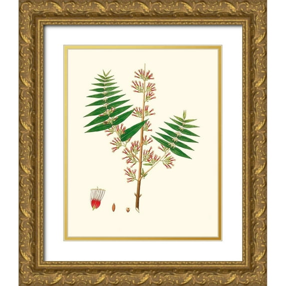 Unknown 15x18 Gold Ornate Wood Framed with Double Matting Museum Art Print Titled - Spring Green Foliage VI