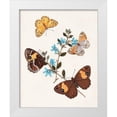 thumbnail image 1 of Unknown  15x18 White Modern Wood Framed Museum Art Print Titled - Butterflies and Moths I, 1 of 4