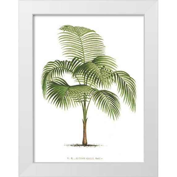 Unknown 15x18 White Modern Wood Framed Museum Art Print Titled - Custom Les Palmiers on White I