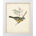 thumbnail image 1 of Unknown  15x18 White Modern Wood Framed Museum Art Print Titled - Delicate Birds V, 1 of 4