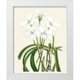 thumbnail image 1 of Unknown  15x18 White Modern Wood Framed Museum Art Print Titled - Les Fleurs Blanches III, 1 of 4