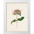 thumbnail image 1 of Unknown  15x18 White Modern Wood Framed Museum Art Print Titled - Mauve Garden Flowers V, 1 of 4