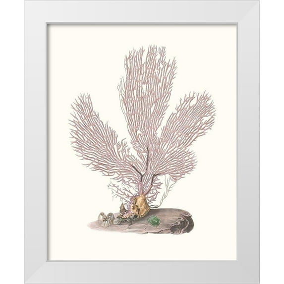Unknown 15x18 White Modern Wood Framed Museum Art Print Titled - Terra Cotta Coral IV