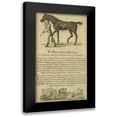 thumbnail image 1 of Unknown 16x24 Black Modern Framed Museum Art Print Titled - Horse Portraiture VIII, 1 of 5