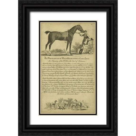 Unknown 16x24 Black Ornate Wood Framed with Double Matting Museum Art Print Titled - Horse Portraiture VII