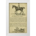 thumbnail image 1 of Unknown 16x24 White Modern Wood Framed Museum Art Print Titled - Horse Portraiture VI, 1 of 4