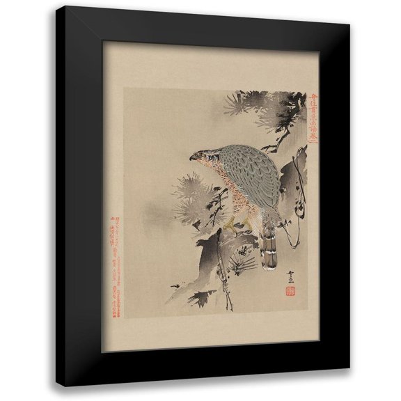 Unknown 17x24 Black Modern Framed Museum Art Print Titled - Hawk