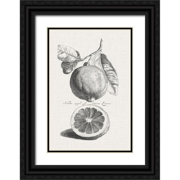Unknown 17x24 Black Ornate Wood Framed with Double Matting Museum Art Print Titled - Antique Lemons and Oranges IV