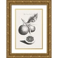 thumbnail image 1 of Unknown 17x24 Gold Ornate Wood Framed with Double Matting Museum Art Print Titled - Antique Lemons and Oranges II, 1 of 4