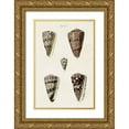 thumbnail image 1 of Unknown 17x24 Gold Ornate Wood Framed with Double Matting Museum Art Print Titled - Cone Shell Collection III, 1 of 4