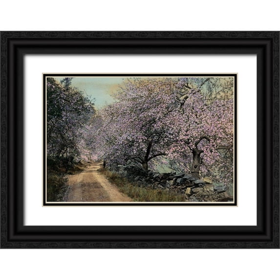 Unknown 18x13 Black Ornate Wood Framed with Double Matting Museum Art Print Titled - Apple Blossoms II