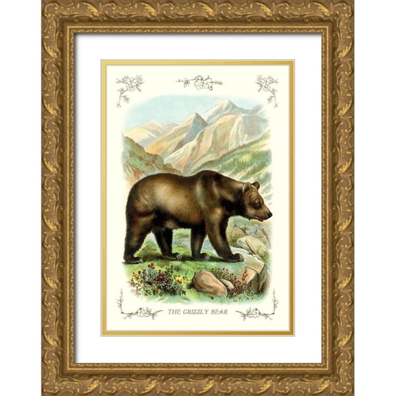 Unknown 18x24 Gold Ornate Wood Framed with Double Matting Museum Art Print Titled - The Grizzly Bear, 1900