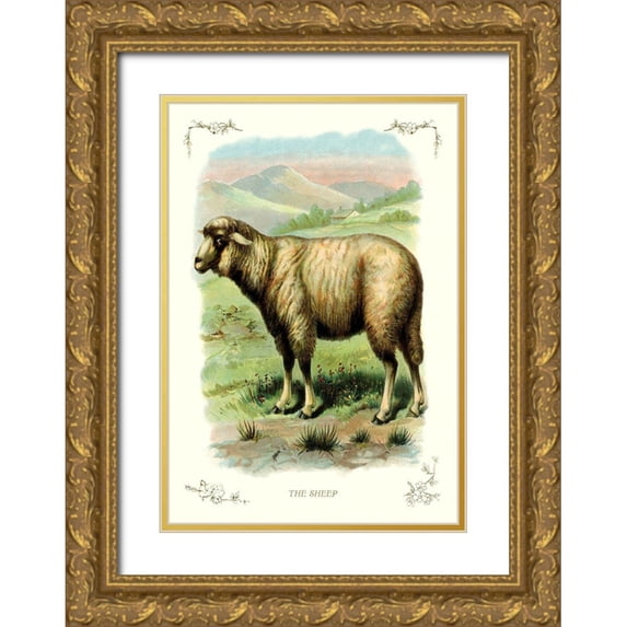 Unknown 18x24 Gold Ornate Wood Framed with Double Matting Museum Art Print Titled - The Sheep, 1900