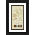 thumbnail image 1 of Unknown 18x32 Black Ornate Wood Framed with Double Matting Museum Art Print Titled - Species of Lichen IV, 1 of 4