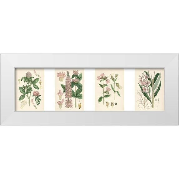 Unknown 18x8 White Modern Wood Framed Museum Art Print Titled - Pink Botanicals