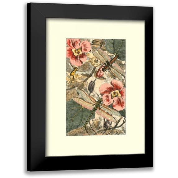 Unknown 19x24 Black Modern Framed Museum Art Print Titled - Dancing Dragonfly II