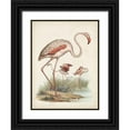 thumbnail image 1 of Unknown  19x24 Black Ornate Wood Framed with Double Matting Museum Art Print Titled - Antique Waterbirds IV, 1 of 4