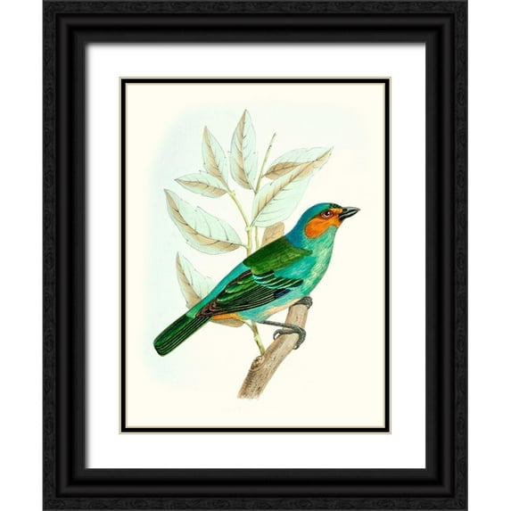 Unknown 19x24 Black Ornate Wood Framed with Double Matting Museum Art Print Titled - On Perch XI