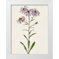 thumbnail image 1 of Unknown  19x24 White Modern Wood Framed Museum Art Print Titled - Mauve Garden Flowers III, 1 of 4