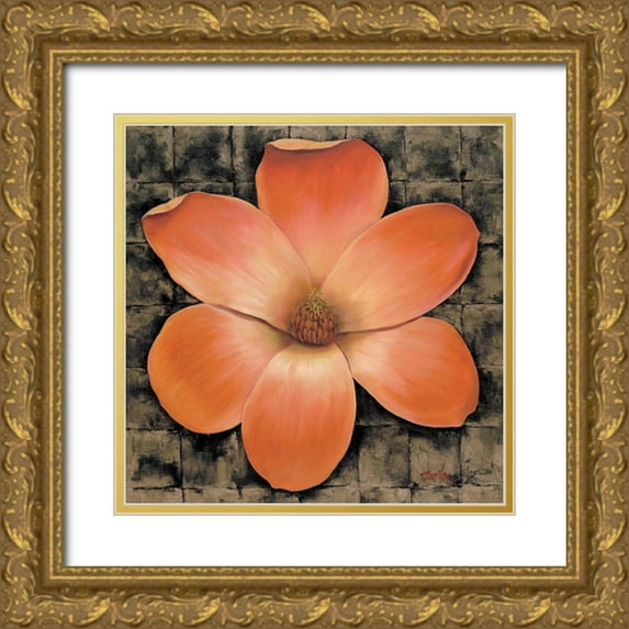 Unknown 20x20 Gold Ornate Wood Framed with Double Matting Museum Art Print Titled - Red Poppy II