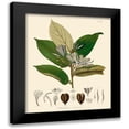 thumbnail image 1 of Unknown 20x23 Black Modern Framed Museum Art Print Titled - Luscious Leaves II, 1 of 5