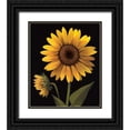 thumbnail image 1 of Unknown 20x23 Black Ornate Wood Framed with Double Matting Museum Art Print Titled - Sunflower II, 1 of 4