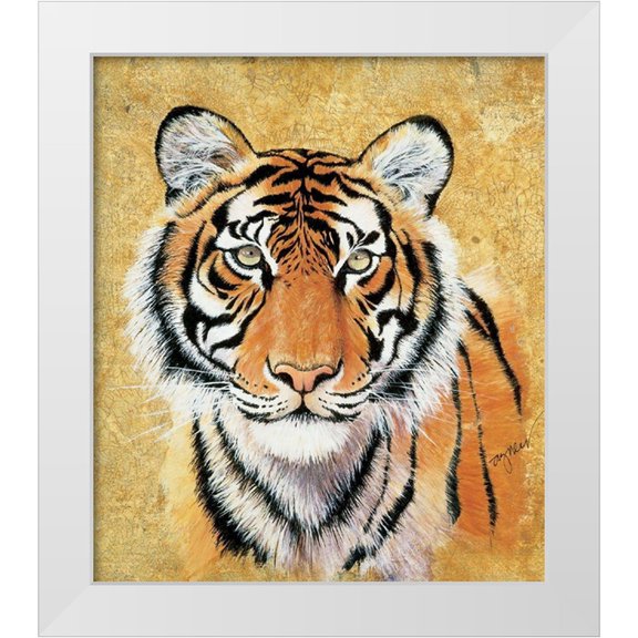 Unknown 20x23 White Modern Wood Framed Museum Art Print Titled - Tiger