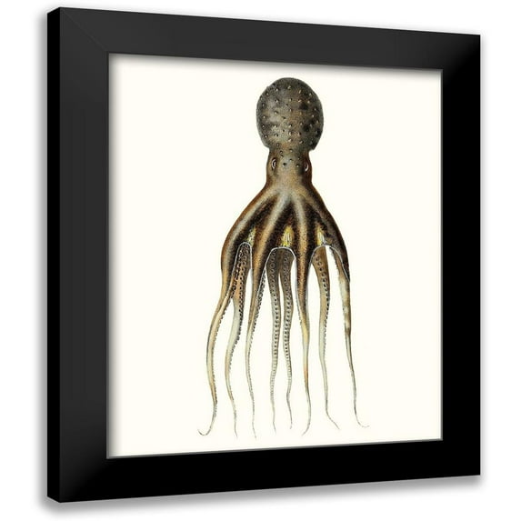 Unknown 20x24 Black Modern Framed Museum Art Print Titled - Antique Octopus Collection V