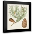 thumbnail image 1 of Unknown 20x24 Black Modern Framed Museum Art Print Titled - Antique Pine Cones III, 1 of 5