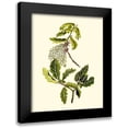 thumbnail image 1 of Unknown 20x24 Black Modern Framed Museum Art Print Titled - Olive Greenery III, 1 of 5