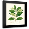 thumbnail image 1 of Unknown 20x24 Black Modern Framed Museum Art Print Titled - Spring Green Foliage III, 1 of 5