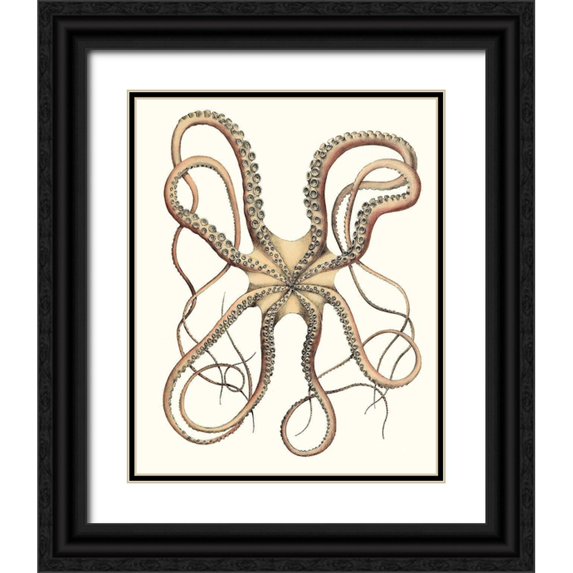 Unknown 20x24 Black Ornate Wood Framed with Double Matting Museum Art Print Titled - Antique Octopus Collection IV