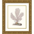 thumbnail image 1 of Unknown 20x24 Gold Ornate Wood Framed with Double Matting Museum Art Print Titled - Terra Cotta Coral IV, 1 of 4