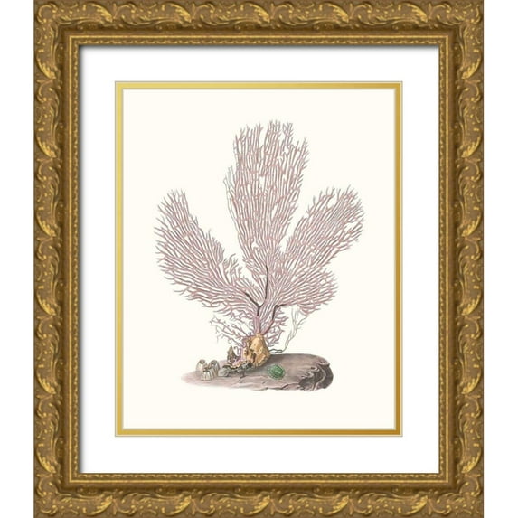 Unknown 20x24 Gold Ornate Wood Framed with Double Matting Museum Art Print Titled - Terra Cotta Coral IV