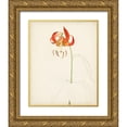 thumbnail image 1 of Unknown  20x24 Gold Ornate Wood Framed with Double Matting Museum Art Print Titled - Watercolor Botanical Sketches I, 1 of 4