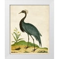 thumbnail image 1 of Unknown 20x24 White Modern Wood Framed Museum Art Print Titled - Heron Portrait II, 1 of 4