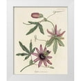 thumbnail image 1 of Unknown 20x24 White Modern Wood Framed Museum Art Print Titled - Lavender Blooms II, 1 of 4