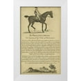 thumbnail image 1 of Unknown 21x32 White Modern Wood Framed Museum Art Print Titled - Horse Portraiture V, 1 of 4