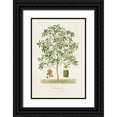 thumbnail image 1 of Unknown  23x32 Black Ornate Wood Framed with Double Matting Museum Art Print Titled - Antique Tree with Fruit VI, 1 of 4