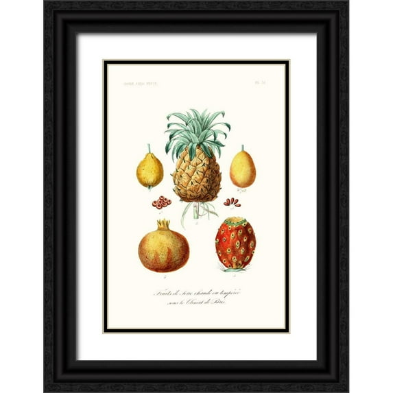 Unknown 23x32 Black Ornate Wood Framed with Double Matting Museum Art Print Titled - Fruit And Vegetable Varieties V