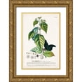 thumbnail image 1 of Unknown 23x32 Gold Ornate Wood Framed with Double Matting Museum Art Print Titled - Alluring Botamical VIII, 1 of 4