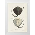 thumbnail image 1 of Unknown 23x32 White Modern Wood Framed Museum Art Print Titled - Antique Rays III, 1 of 4