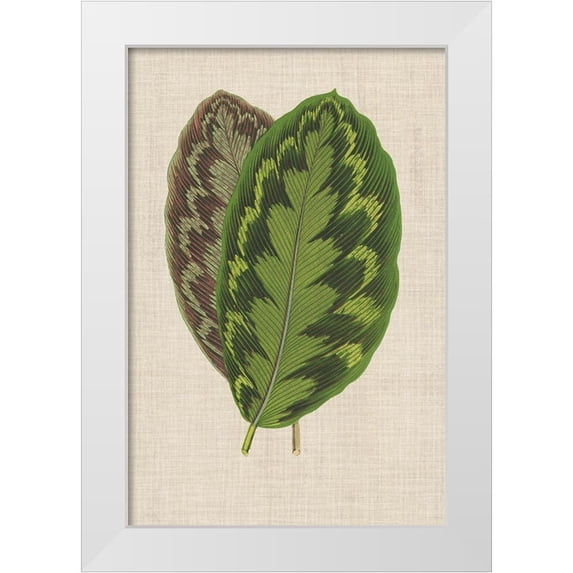 Unknown 23x32 White Modern Wood Framed Museum Art Print Titled - Leaves on Linen IV