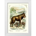 thumbnail image 1 of Unknown 23x32 White Modern Wood Framed Museum Art Print Titled - The Wolf, 1900, 1 of 4